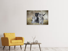 Lade das Bild in den Galerie-Viewer, Leinwandbild 3-teilig Kitten Trio
