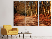 Lade das Bild in den Galerie-Viewer, Leinwandbild 3-teilig Natur im Herbst
