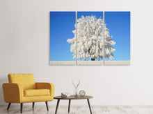 Lade das Bild in den Galerie-Viewer, Leinwandbild 3-teilig Winter Baum
