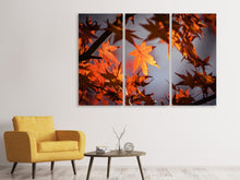 Lade das Bild in den Galerie-Viewer, Leinwandbild 3-teilig Ahorn Blätter im Herbst
