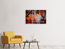 Lade das Bild in den Galerie-Viewer, Leinwandbild 3-teilig Ahorn Blätter im Herbst
