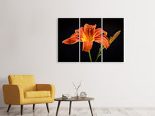 Lade das Bild in den Galerie-Viewer, Leinwandbild 3-teilig Eine Lilien Blüte in orange
