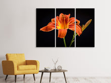 Lade das Bild in den Galerie-Viewer, Leinwandbild 3-teilig Eine Lilien Blüte in orange
