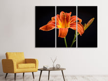 Lade das Bild in den Galerie-Viewer, Leinwandbild 3-teilig Eine Lilien Blüte in orange
