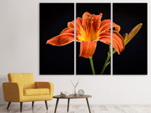 Lade das Bild in den Galerie-Viewer, Leinwandbild 3-teilig Eine Lilien Blüte in orange
