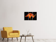 Lade das Bild in den Galerie-Viewer, Leinwandbild 3-teilig Eine Lilien Blüte in orange
