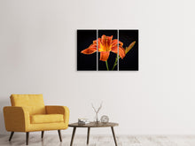 Lade das Bild in den Galerie-Viewer, Leinwandbild 3-teilig Eine Lilien Blüte in orange
