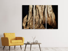 Lade das Bild in den Galerie-Viewer, Leinwandbild 3-teilig Baum Close Up
