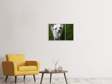 Lade das Bild in den Galerie-Viewer, Leinwandbild 3-teilig Chihuahua Blick
