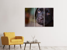 Lade das Bild in den Galerie-Viewer, Leinwandbild 3-teilig Süsse Labrador Welpe
