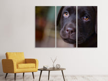 Lade das Bild in den Galerie-Viewer, Leinwandbild 3-teilig Süsse Labrador Welpe
