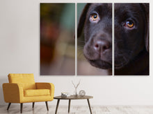 Lade das Bild in den Galerie-Viewer, Leinwandbild 3-teilig Süsse Labrador Welpe
