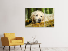 Lade das Bild in den Galerie-Viewer, Leinwandbild 3-teilig Golden Retriever in der Natur
