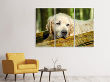 Lade das Bild in den Galerie-Viewer, Leinwandbild 3-teilig Golden Retriever in der Natur
