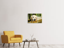 Lade das Bild in den Galerie-Viewer, Leinwandbild 3-teilig Golden Retriever in der Natur
