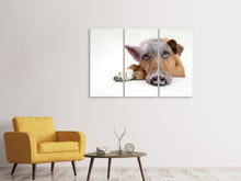 Lade das Bild in den Galerie-Viewer, Leinwandbild 3-teilig Der lustige Schweine Hund
