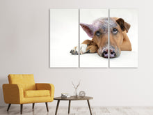 Lade das Bild in den Galerie-Viewer, Leinwandbild 3-teilig Der lustige Schweine Hund
