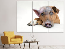 Lade das Bild in den Galerie-Viewer, Leinwandbild 3-teilig Der lustige Schweine Hund
