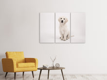 Lade das Bild in den Galerie-Viewer, Leinwandbild 3-teilig Süsse Golden Retriever Welpe
