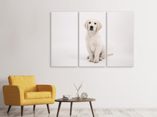 Lade das Bild in den Galerie-Viewer, Leinwandbild 3-teilig Süsse Golden Retriever Welpe
