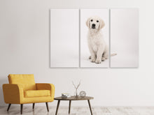 Lade das Bild in den Galerie-Viewer, Leinwandbild 3-teilig Süsse Golden Retriever Welpe
