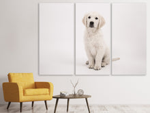 Lade das Bild in den Galerie-Viewer, Leinwandbild 3-teilig Süsse Golden Retriever Welpe
