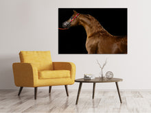Lade das Bild in den Galerie-Viewer, Leinwandbild Stolzes Pferd
