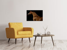 Lade das Bild in den Galerie-Viewer, Leinwandbild Stolzes Pferd
