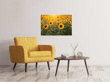 Lade das Bild in den Galerie-Viewer, Leinwandbild Sonnenblumen Feld
