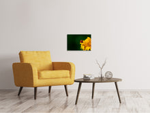 Lade das Bild in den Galerie-Viewer, Leinwandbild Marienkäfer auf der Sonnenblume

