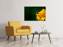 Lade das Bild in den Galerie-Viewer, Leinwandbild Marienkäfer auf der Sonnenblume
