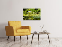 Lade das Bild in den Galerie-Viewer, Leinwandbild Seerose in der Natur
