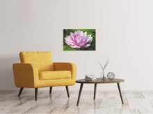 Lade das Bild in den Galerie-Viewer, Leinwandbild Seerose in rosa
