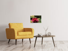 Lade das Bild in den Galerie-Viewer, Leinwandbild Seerose in rot
