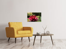 Lade das Bild in den Galerie-Viewer, Leinwandbild Seerose in rot
