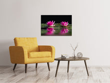 Lade das Bild in den Galerie-Viewer, Leinwandbild Seerosen Duo in pink
