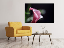 Lade das Bild in den Galerie-Viewer, Leinwandbild Calla in lila
