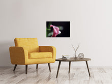 Lade das Bild in den Galerie-Viewer, Leinwandbild Calla in lila
