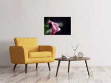 Lade das Bild in den Galerie-Viewer, Leinwandbild Calla in lila
