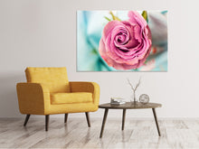 Lade das Bild in den Galerie-Viewer, Leinwandbild Rosenblüte in rosa
