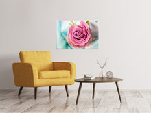Lade das Bild in den Galerie-Viewer, Leinwandbild Rosenblüte in rosa
