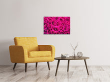 Lade das Bild in den Galerie-Viewer, Leinwandbild Rosenblüten in pink
