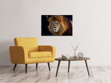 Lade das Bild in den Galerie-Viewer, Leinwandbild Achtung Löwe
