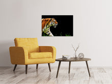 Lade das Bild in den Galerie-Viewer, Leinwandbild Imposanter Tiger
