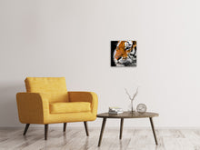 Lade das Bild in den Galerie-Viewer, Leinwandbild Close up Tiger Kopf
