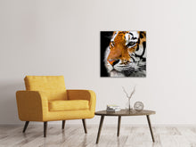 Lade das Bild in den Galerie-Viewer, Leinwandbild Close up Tiger Kopf
