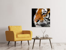 Lade das Bild in den Galerie-Viewer, Leinwandbild Close up Tiger Kopf
