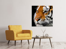 Lade das Bild in den Galerie-Viewer, Leinwandbild Close up Tiger Kopf
