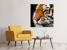 Lade das Bild in den Galerie-Viewer, Leinwandbild Close up Tiger Kopf
