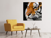 Lade das Bild in den Galerie-Viewer, Leinwandbild Close up Tiger Kopf
